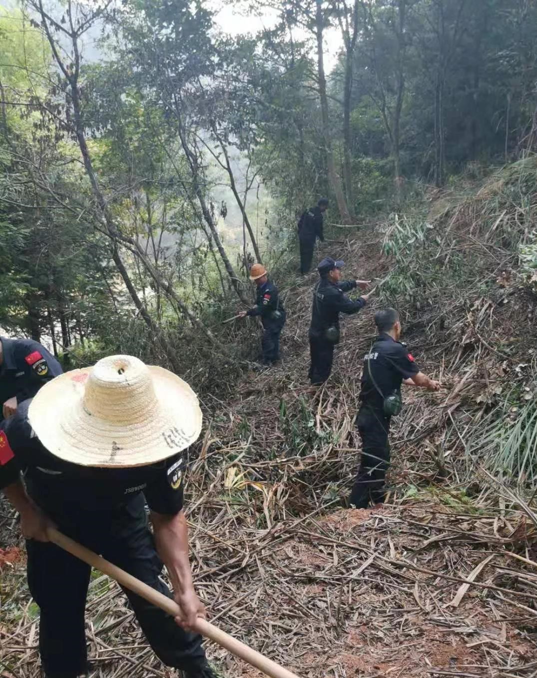 干好每一天|青山掛白我復(fù)綠，無(wú)私奉獻(xiàn)金森人——資源保護(hù)部義務(wù)突擊隊(duì)工作記實(shí)
