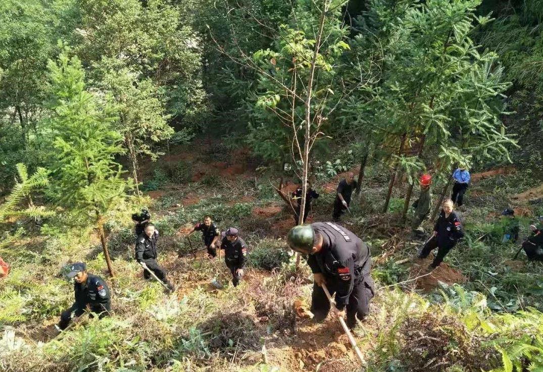 干好每一天|青山掛白我復(fù)綠，無(wú)私奉獻(xiàn)金森人——資源保護(hù)部義務(wù)突擊隊(duì)工作記實(shí)